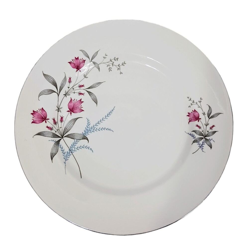 Royal Monarch China Dinner Plate‎ Fern Valley Holland Platinum Replacement MCM